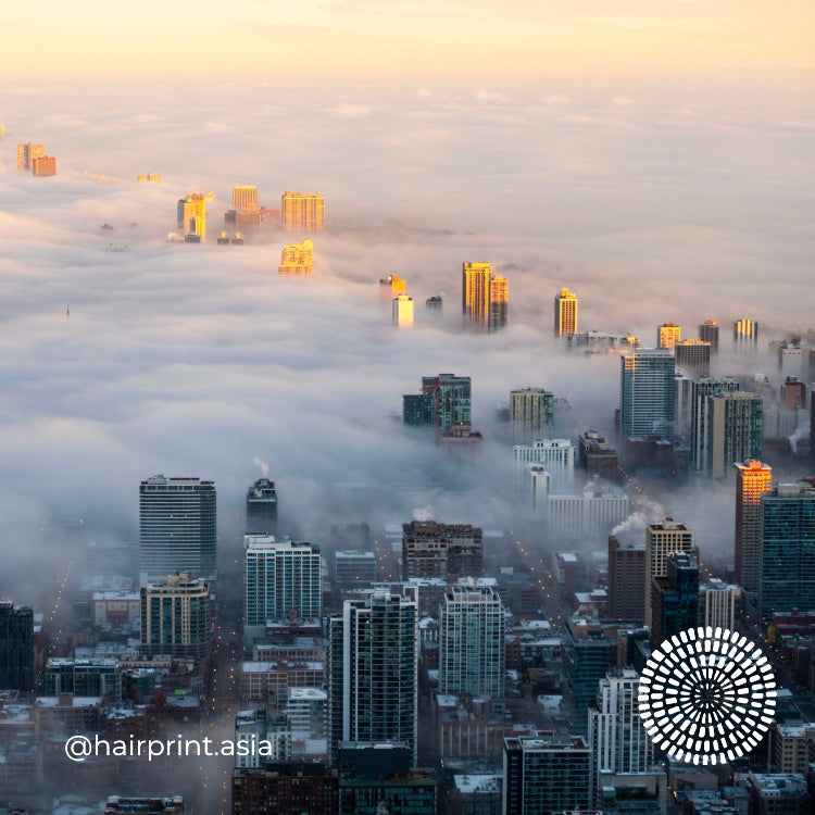 AIR POLLUTION EQUALS HAIR POLLUTION